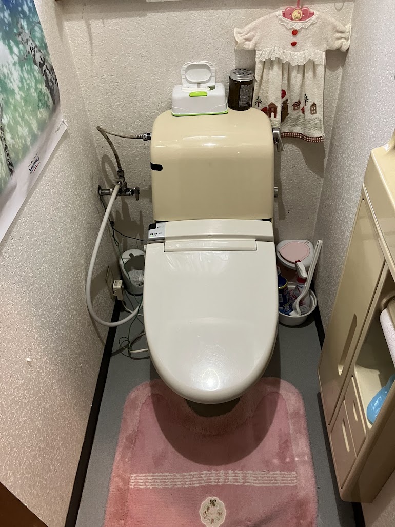 LIXIL　ベーシアシャワートイレ　BC-B30S・DT-B381　ホワイト
